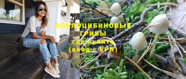 прущие крисы Аркадак