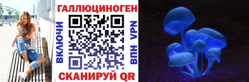 Галлюциногенные грибы Psilocybe Топки
